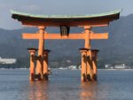 JAPÓN: 8 Experiencias Imprescindibles Para Disfrutar al Máximo tu Viaje.