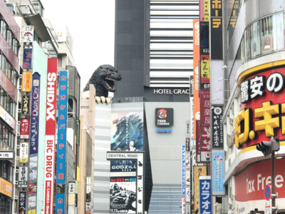 Tokio Parte 1: Dónde Hospedarse y Cómo llegar desde el Aeropuerto