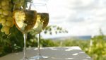Consejos de un LOCAL: Guía para Comprar VINOS SALTEÑOS (realmente) BUENOS, Bonitos y BARATOS.